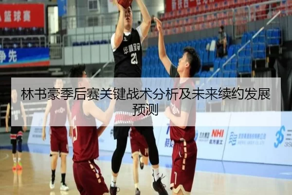 林书豪季后赛关键战术分析及未来续约发展预测